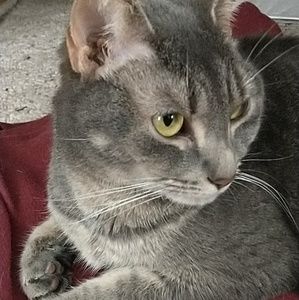 Meet your Posher, Lydia